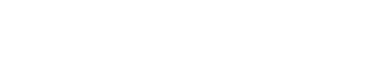 CineFlexi