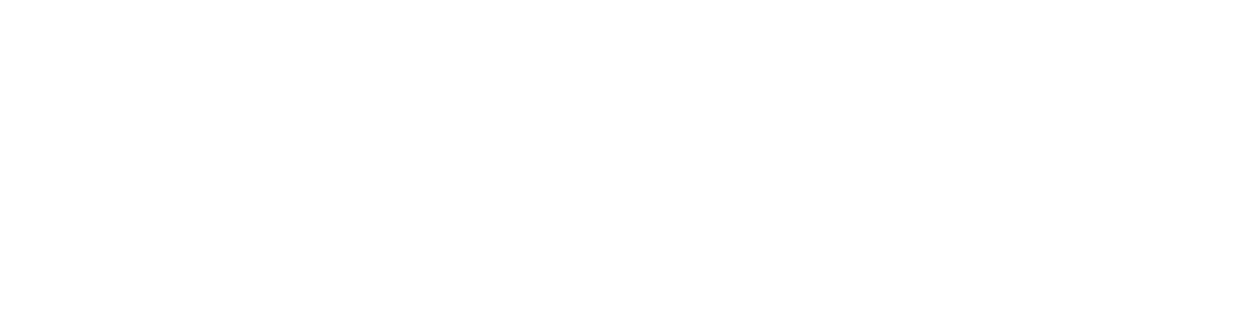 ClipVoxi