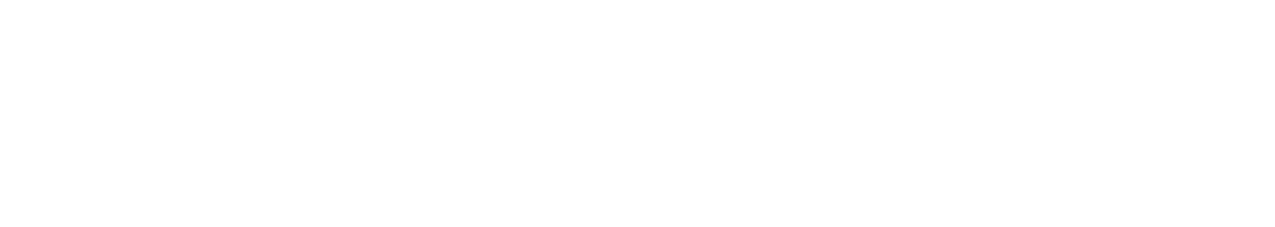 DiveVisio