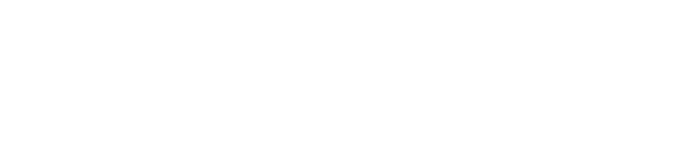 DryoFlash