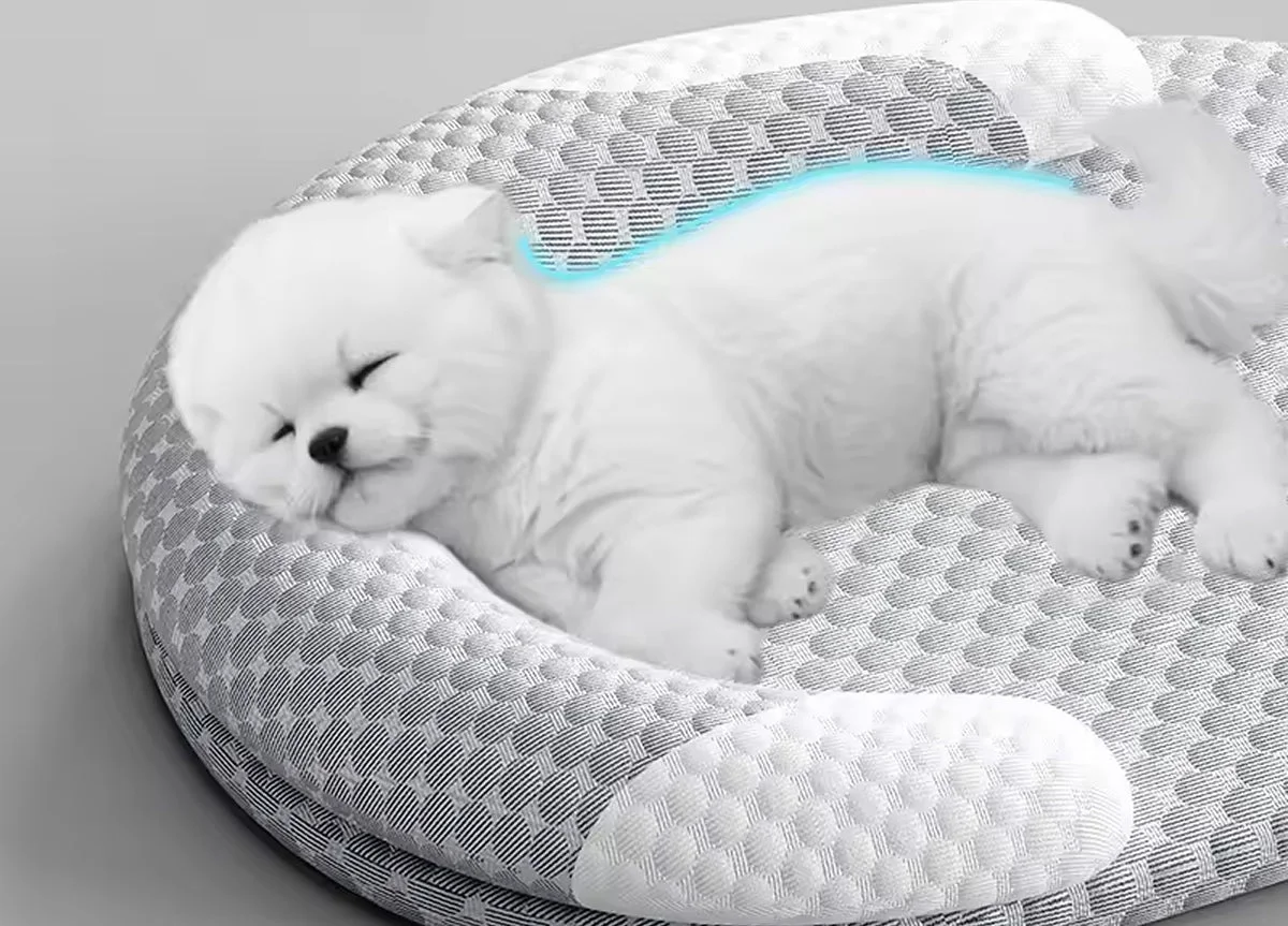 Fatigué De Voir Votre Chien Souffrir de la Chaleur ?