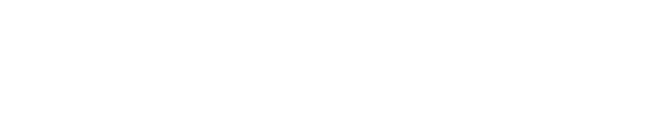 EInkLume