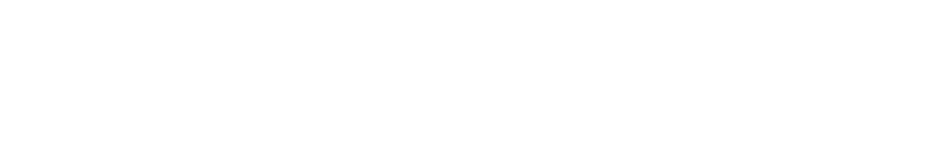 FetchiBall