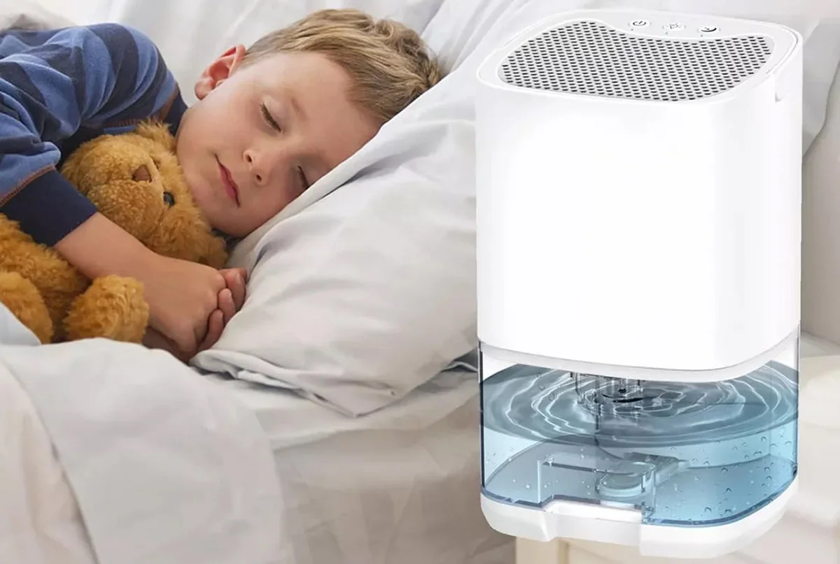 Vous Cherchez à Améliorer la Qualité de l'Air ?