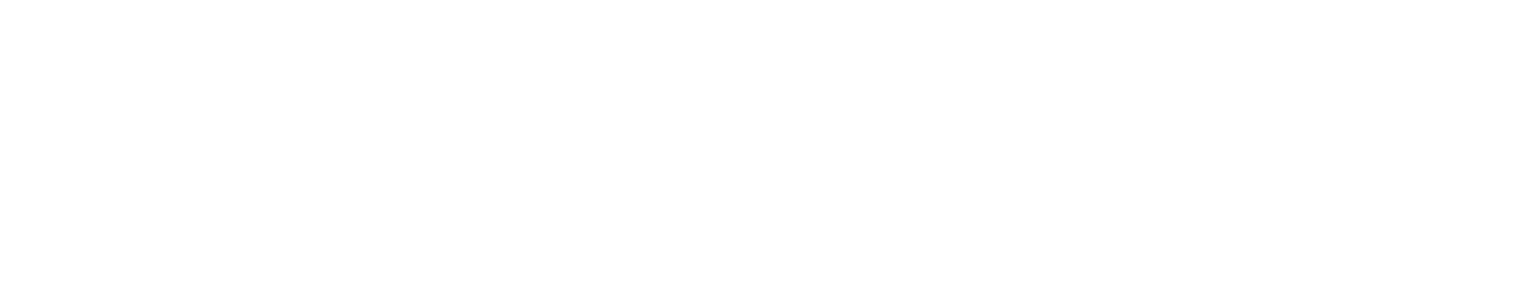 ProjecMaxi