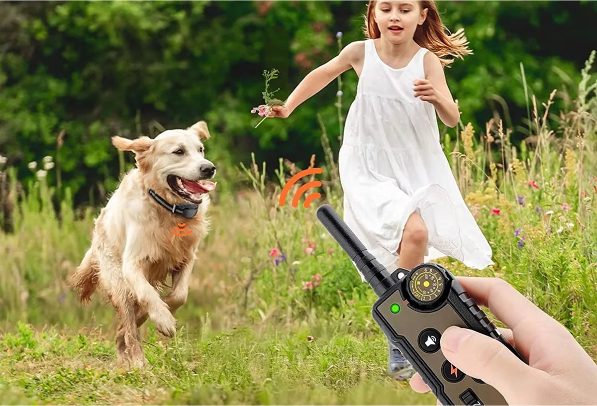 Vous Cherchez Une Solution Efficace ?