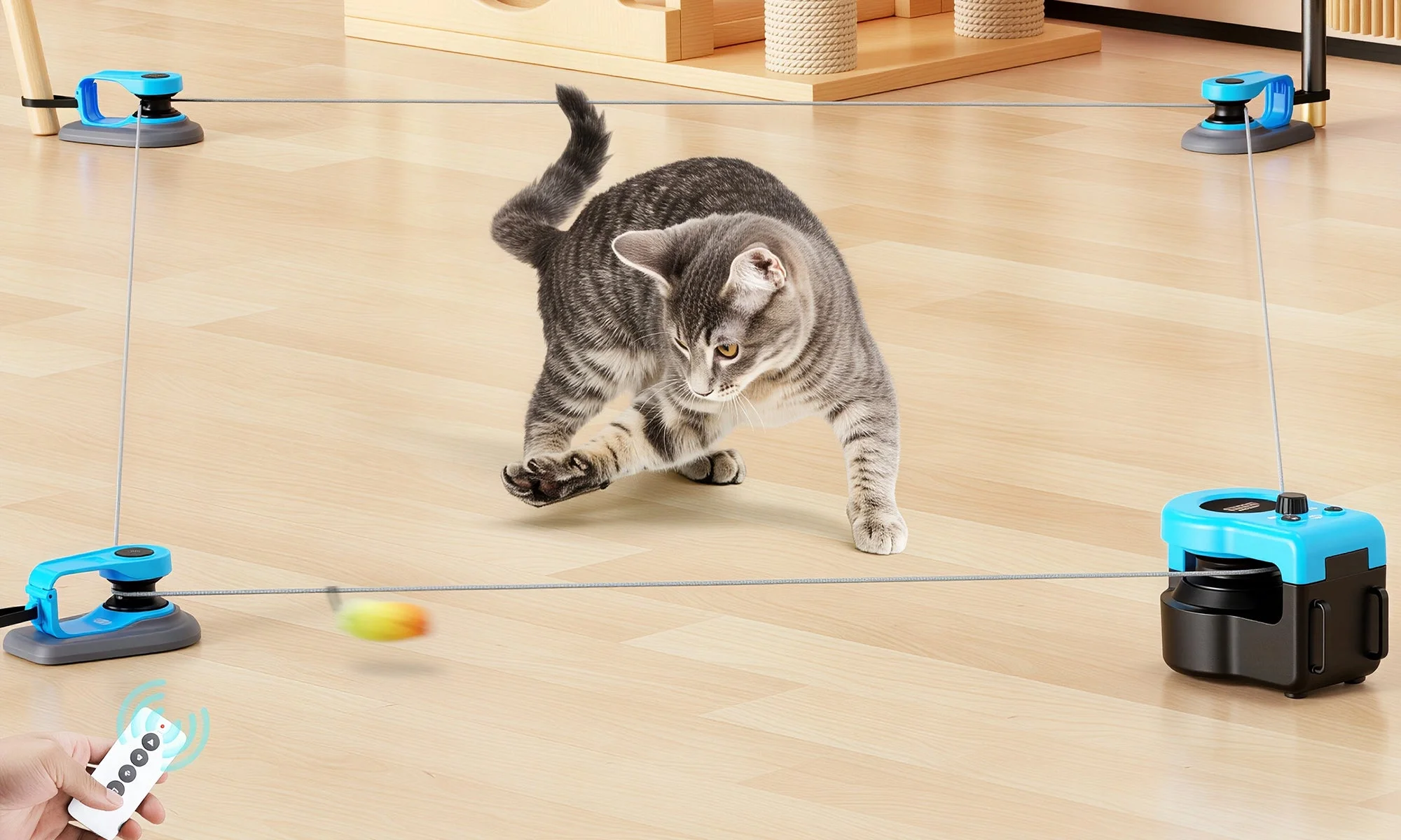 Inquiet De L'Inactivité De Votre Chat ?