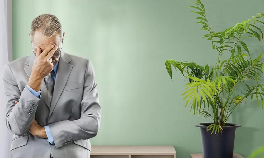 Fatigué De Voir Vos Plantes Souffrir ?