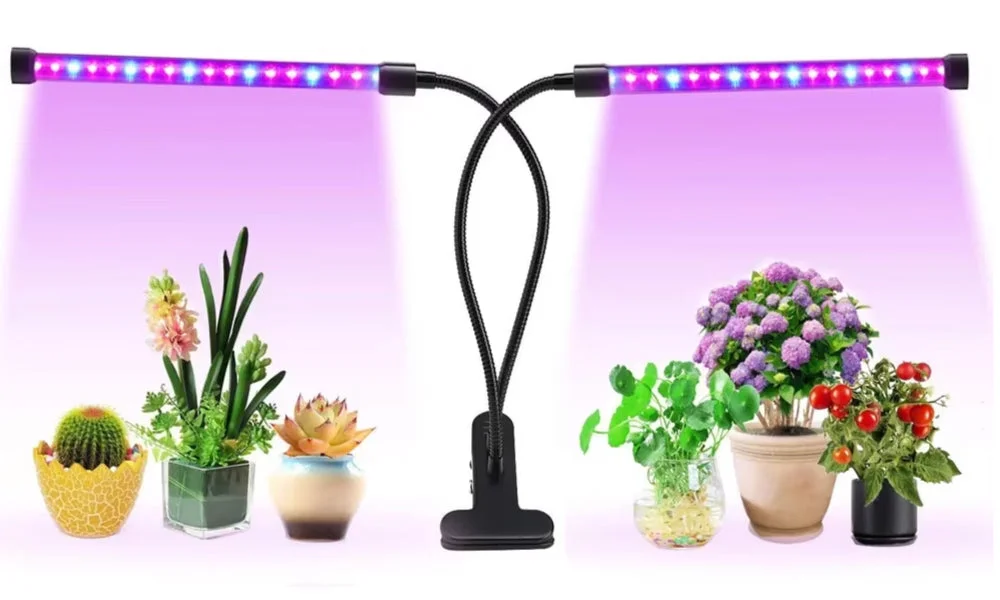 Inquiet De Ne Pas Fournir Assez De Lumière ?