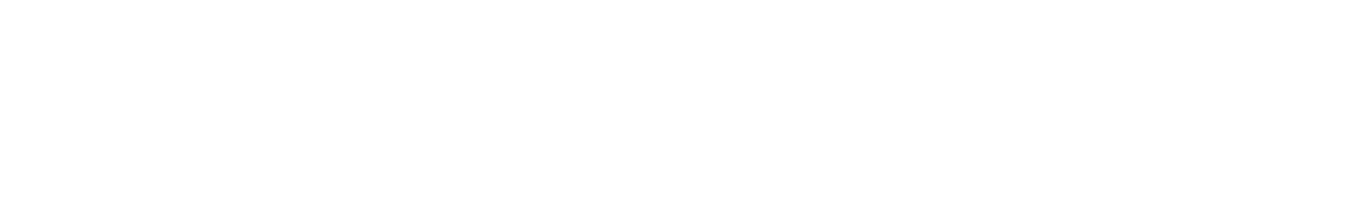 SoundFlexi
