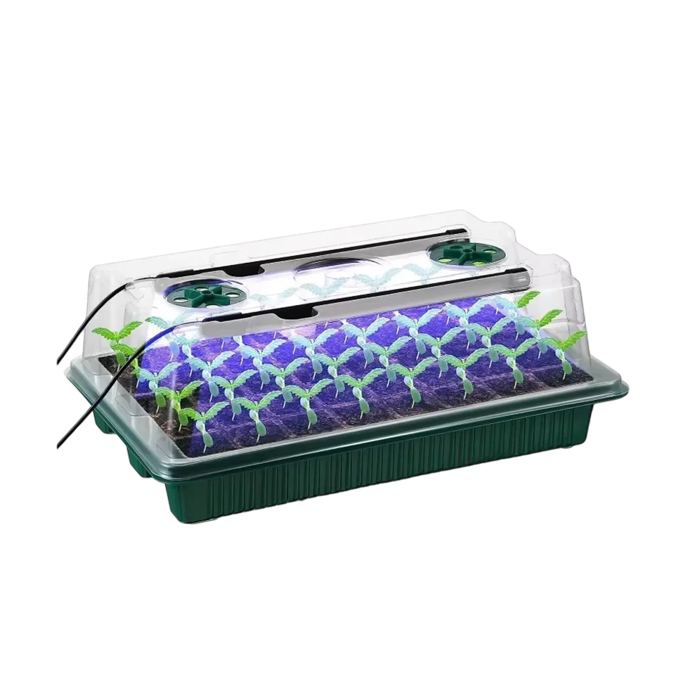LousCafie Product Mobile