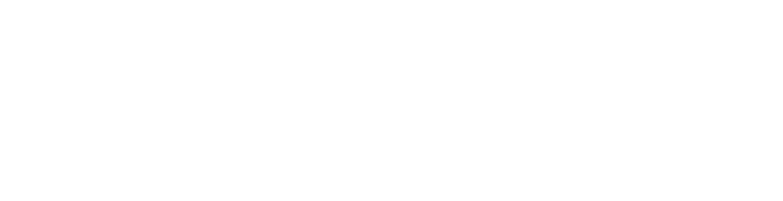 VehiZap