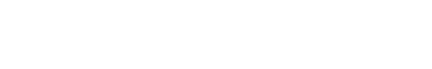 VisionSafe