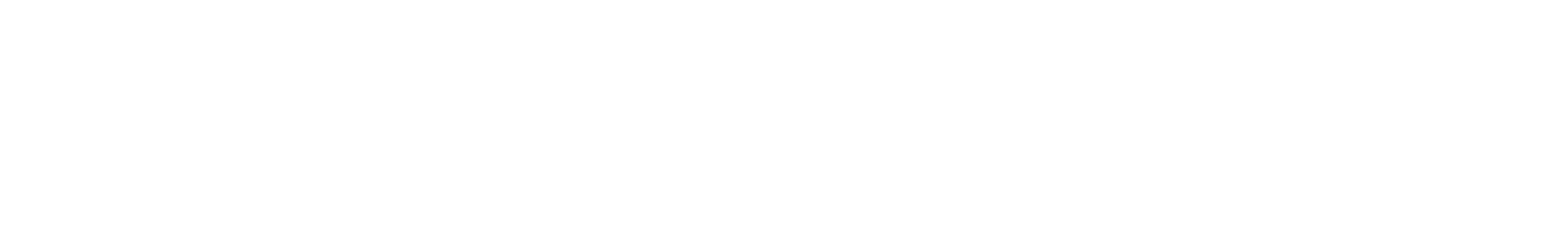 VisioSmart