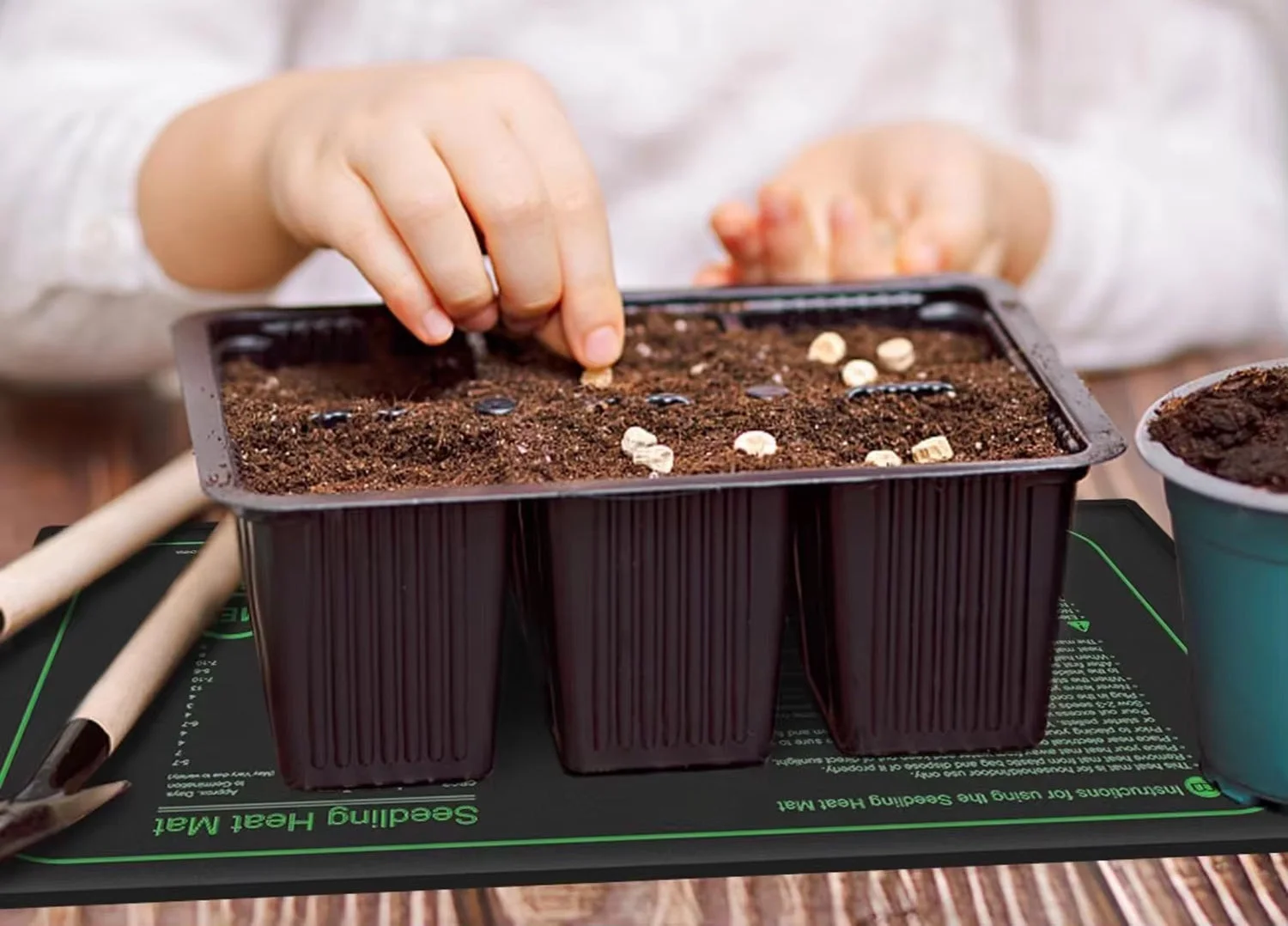 Vous Cherchez à Améliorer la Germination ?