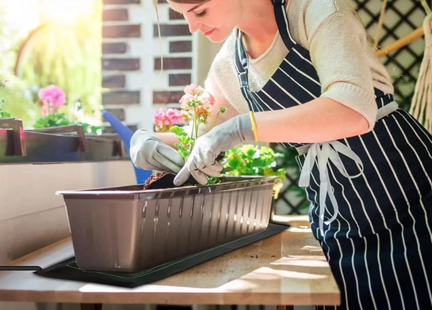 Fatigué De Voir Vos Plantes Périr ?